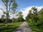  Blick auf den Wanderweg Richtung Urfahr 