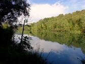  Blick auf den Donaualtarm 