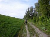  Blick auf den Wanderweg entlang des Donaudamms 
