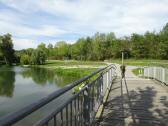  Wanderweg beim Altarm 