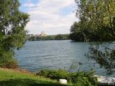  Blick auf den Donaualtarm 