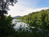  Blick ber den Donaualtarm Richtung Lehen 