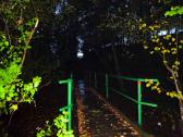  Steg ber den Biberbach 
