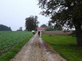  Wanderroute nach Seitenstetten 