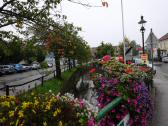  Blumenpracht an der Treffling in Seitenstetten 