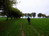  Blick auf die Wanderstrecke 
