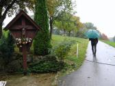  Blick auf die Wanderstrecke 