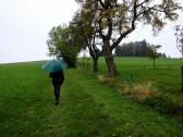  Blick auf die Wanderstrecke 