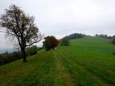  Wanderweg am Hhenrcken des Rastbergs 