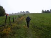   Wanderroute auf dem Buchenberg 