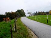 Wanderweg auf dem Buchenberg zur Aussichtswarte 