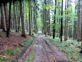  Blick auf die Wanderstrecke 