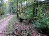  Wanderroute entlang der Treffling 