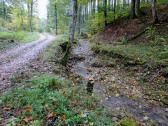  Wanderroute entlang der Treffling 