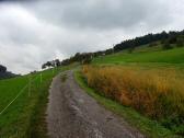  Wanderweg bergan 