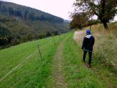  Blick auf die Wanderstrecke 