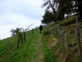  Wanderweg bergan 