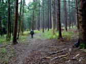  Wanderweg bergan 