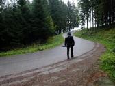  Blick auf die Wanderroute 