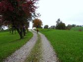  Wanderweg bergan nach Engelsberg 