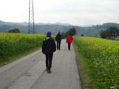  Wanderroute zum Brandhof 