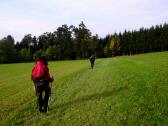  Blick auf die Wanderstrecke 