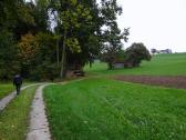  Blick auf die Wanderstrecke 