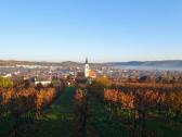 schner Blick nach Langenlois mit der Kath. Pfarrkirche hl. Laurentius 