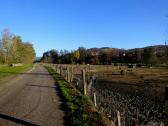 Wanderroute entlang des Kamps und der Schweinefarm 