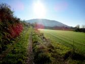  Wanderweg zurck nach Zbing 