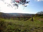  schner Fernblick 