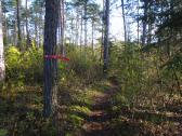 Wanderroute auf dem Misson-Weg zu den "Drei Teichen"