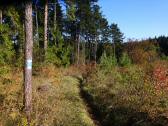 Wanderroute auf dem Misson-Weg zu den "Drei Teichen"
