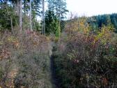 Wanderroute auf dem Misson-Weg zu den "Drei Teichen"
