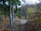 Wanderroute auf dem Misson-Weg zu den "Drei Teichen"