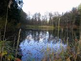  der schne 1. Teich 