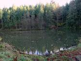  nochmals ein Blick auf den 2. Teich 
