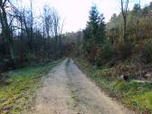  Blick auf die Wanderstrecke 