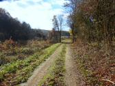  Wanderroute im Kohlbachtal 
