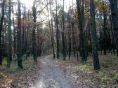  Wanderroute auf dem Misson-Weg zur Kamptalwarte 