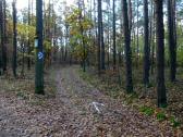  Wanderroute auf dem Misson-Weg zur Kamptalwarte 