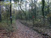  Wanderroute auf dem Misson-Weg zur Kamptalwarte 
