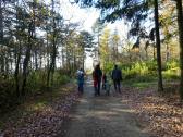  Wanderroute auf dem Gterweg am Heiligenstein 
