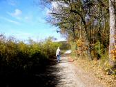  Wanderroute auf dem Gterweg am Heiligenstein 