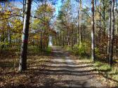  Wanderroute auf dem Gterweg am Heiligenstein 