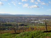  sehr schner Fernblick nach Langenlois 