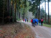  Blick auf die Wanderstrecke 