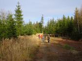  Wanderroute durch den Wald des Flohberg 