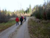  Wanderroute durch den Wald des Flohberg 