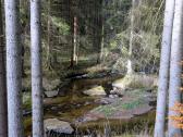  Impression von der Zwettl 